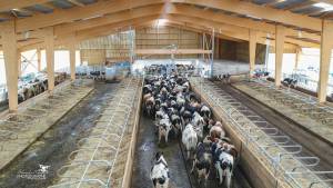 Alexandre LESCURE - ALEXANDRE LESCURE PHOTOGRAPHE