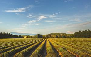 Davy AHOUA - STUDIO VISUALIZER